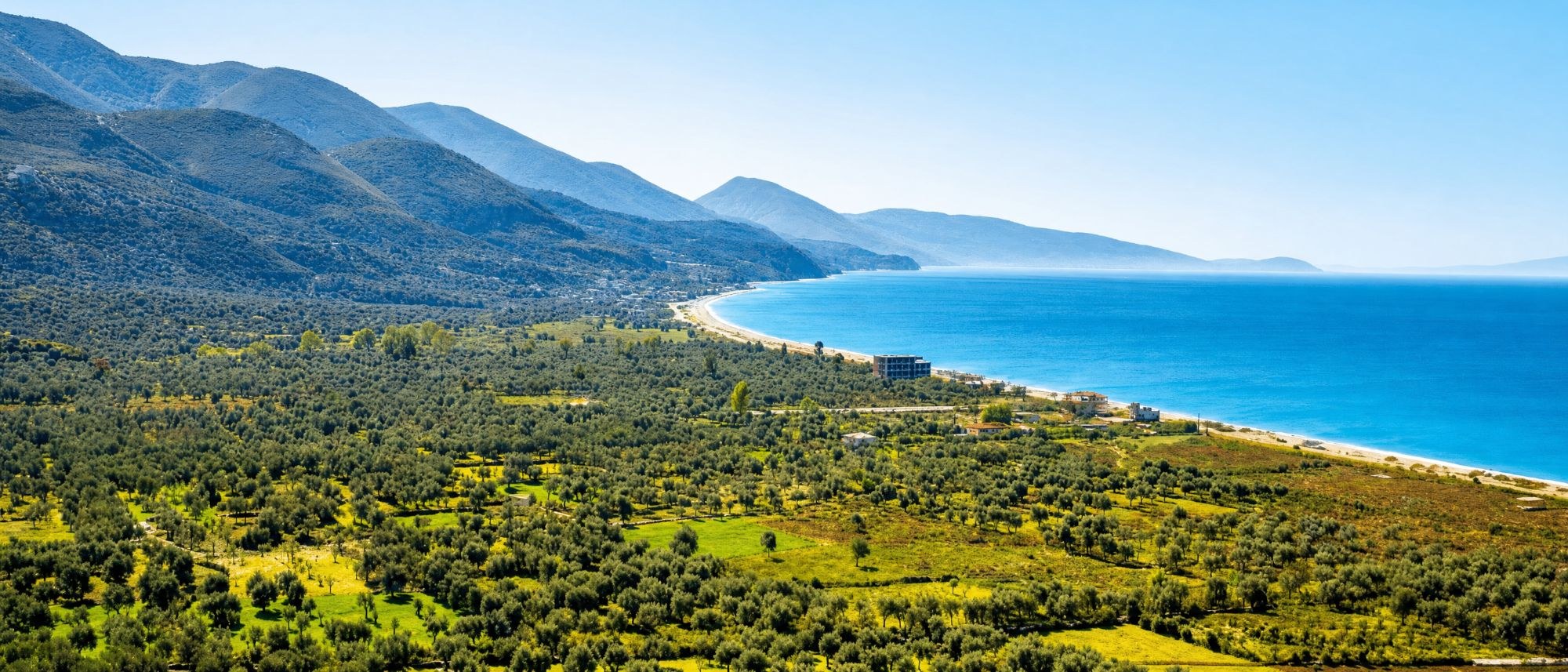 The Albanian Riviera coastline — olive groves descending to a turquoise Ionian bay beneath the mountains of southern Albania
